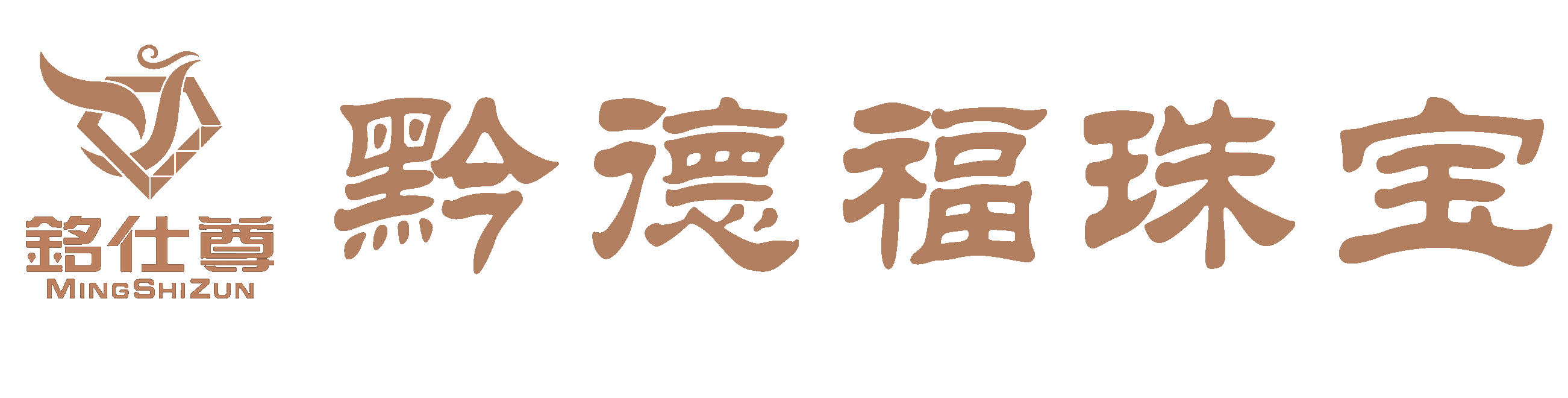 贵阳星辉无人机研发公司有限公司